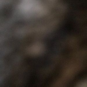 Meet your Posher, Alexander